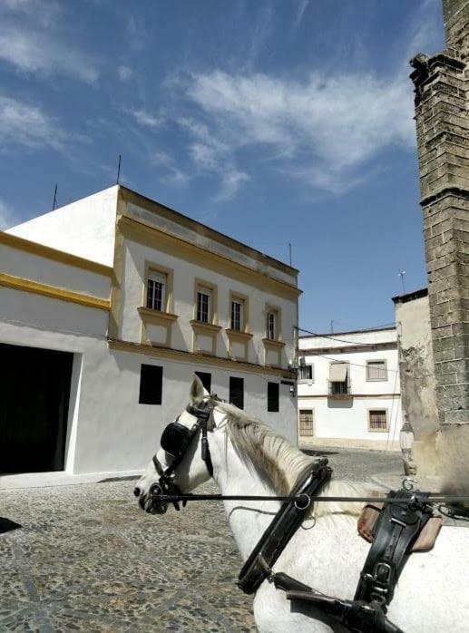 Azafran Jerez Apartamentos Jerez de la Frontera Eksteriør bilde